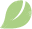 Groen blaadje